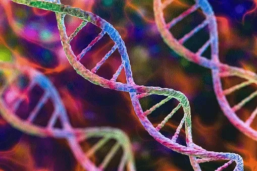 filamenti di DNA